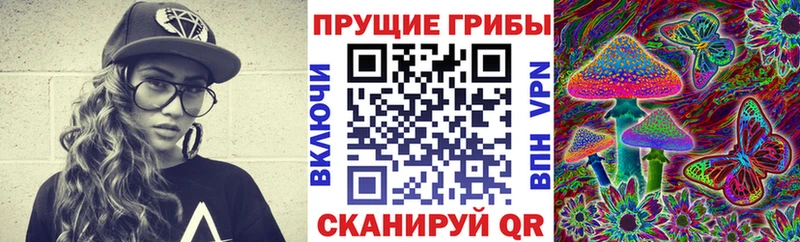 KRAKEN как зайти  Кострома  Галлюциногенные грибы Psilocybine cubensis 
